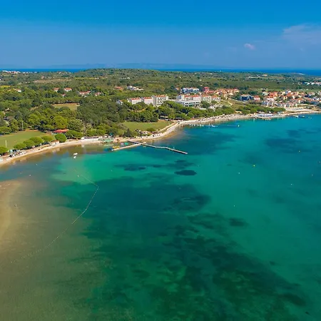 Apartmán 1 Bedroom In *